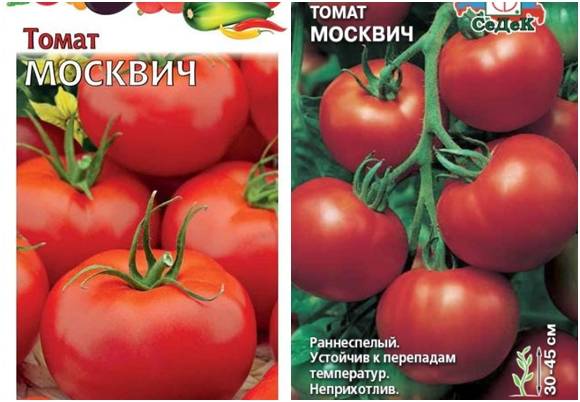 Томат москвич: описание сорта, отзывы (16), фото, урожайность | tomatland.ru