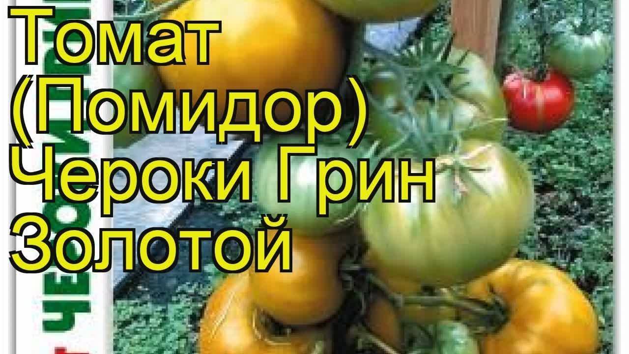 Томат чероки грин: описание сорта, отзывы (15), фото, урожайность | tomatland.ru