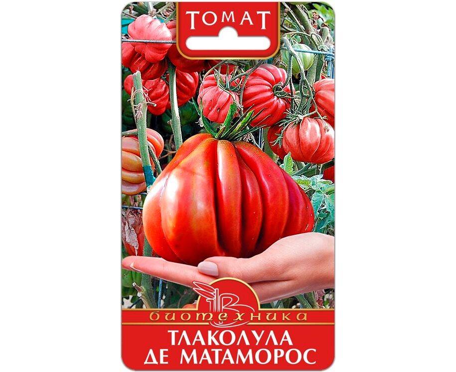 Выбираем лучший сорт томата — советы селекционера — ботаничка