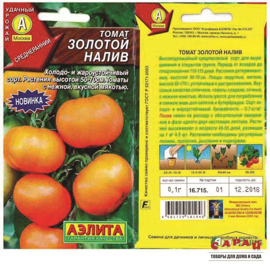 Голландская технология выращивания томатов, ее суть и преимущества