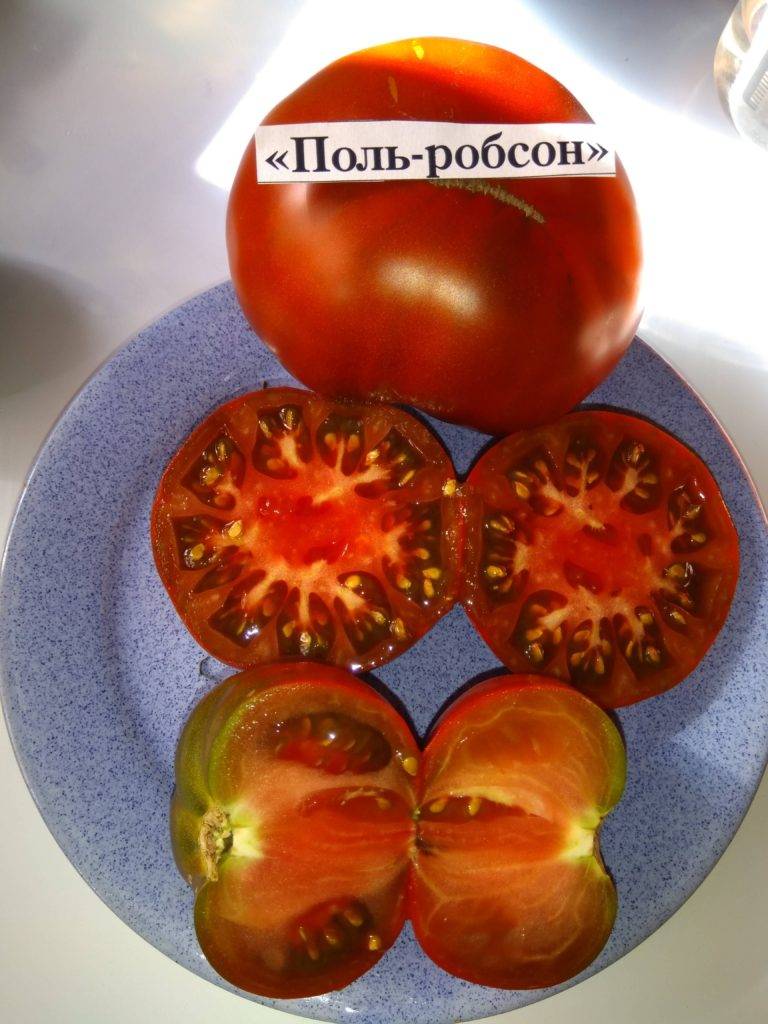 Лучшие сорта черных помидоров (бордовых, коричневых, синих): их описания и характеристики
