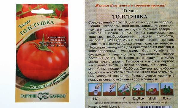 Томат толстый джек: описание и уход за помидорами