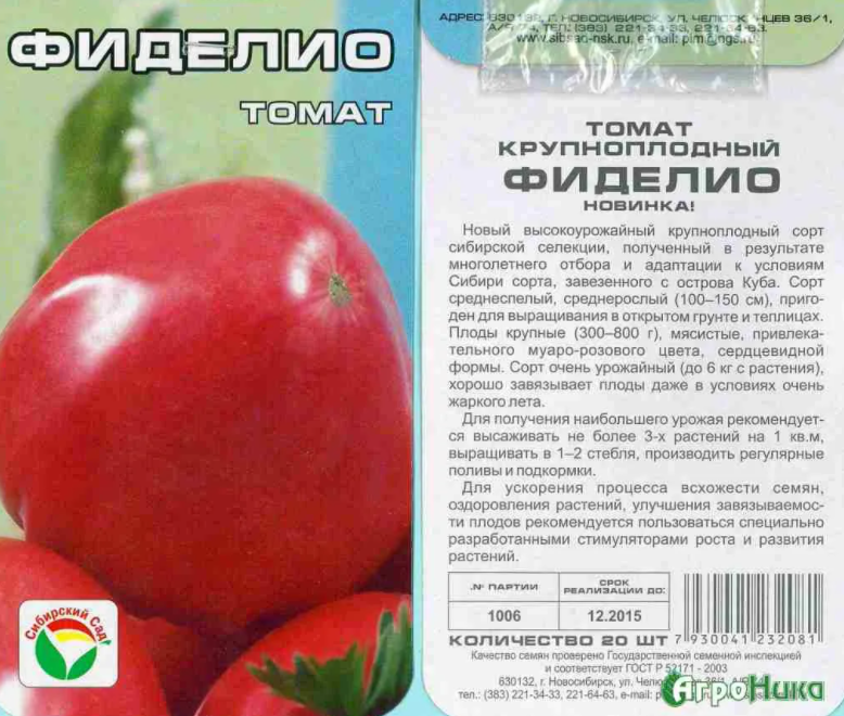 Описание крупноплодного томата Фиделио и выращивание сорта рассадным методом