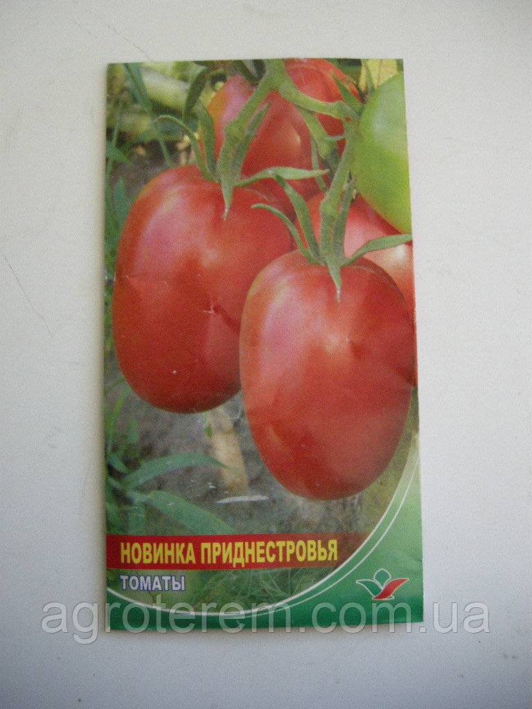 Томат новинка приднестровья: характеристика и описание сорта с фото и видео, урожайность помидора, отзывы тех,