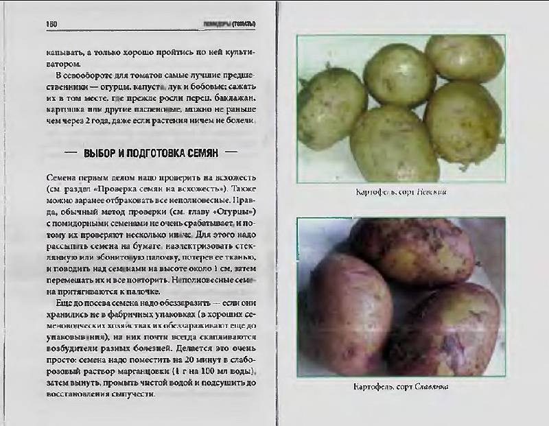 Картофель "рябинушка": описание сорта, фото, характеристики и достоинства русский фермер