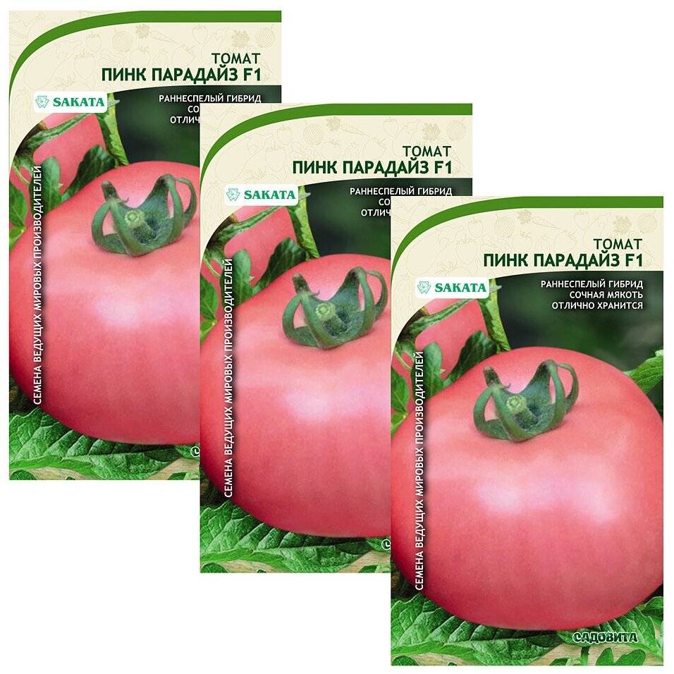 Выращивание, характеристика и описание сорта томата пинк парадайз