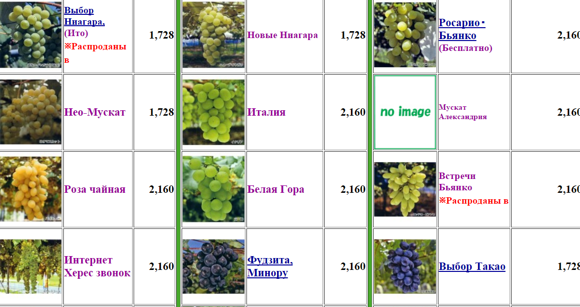 Виноград «бажена»: описание сорта