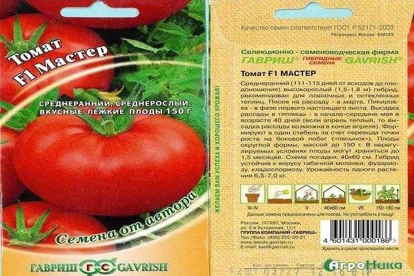Характеристика гибридного томата Мастер f1, выращивание и дальнейший уход