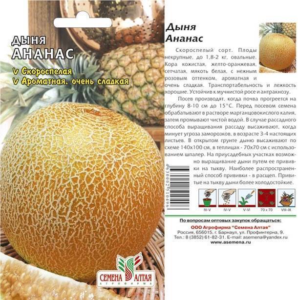 Дыня «ананас f1»: характеристика, выращивание и полезные свойства, фото