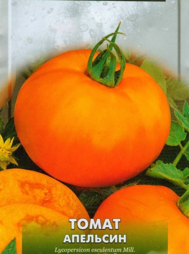 Томат апельсин - характеристика и описание сорта, фото, урожайность, отзывы овощеводов, видео