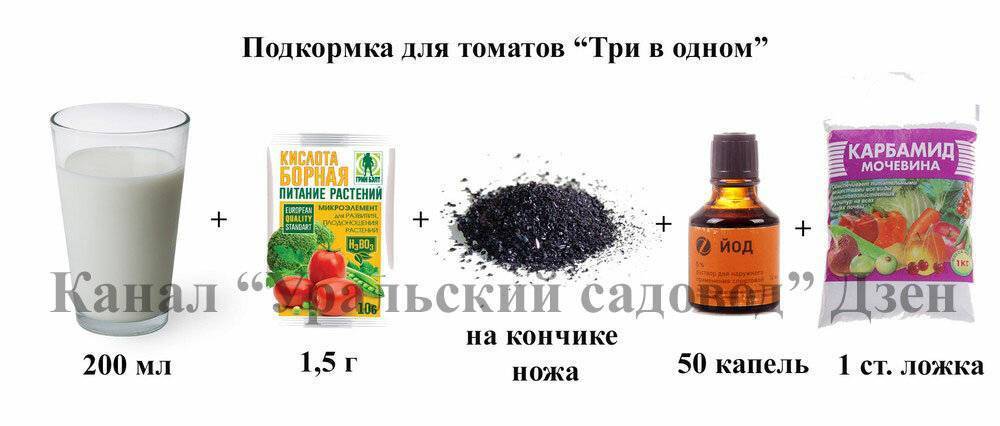 Сыворотка с йодом для полива и обработки помидор: пропорции для подкормки и от фитофторы