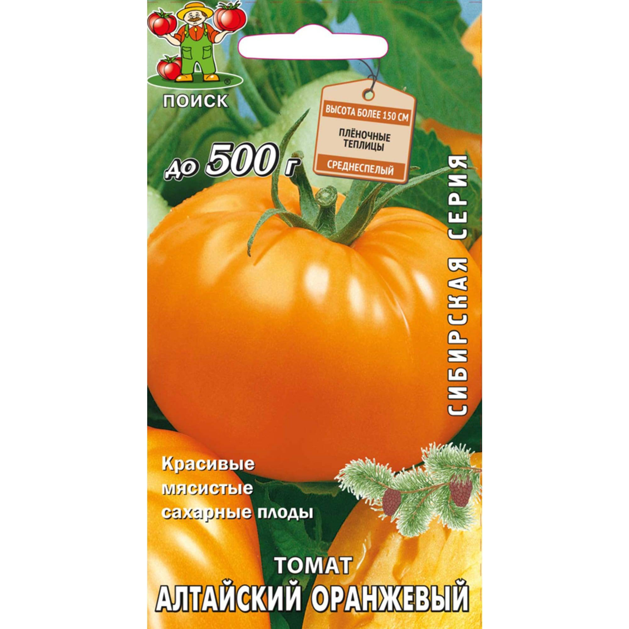 Томат алтайский оранжевый: отзывы тех, кто его выращивал и практические советы по получению богатого урожая