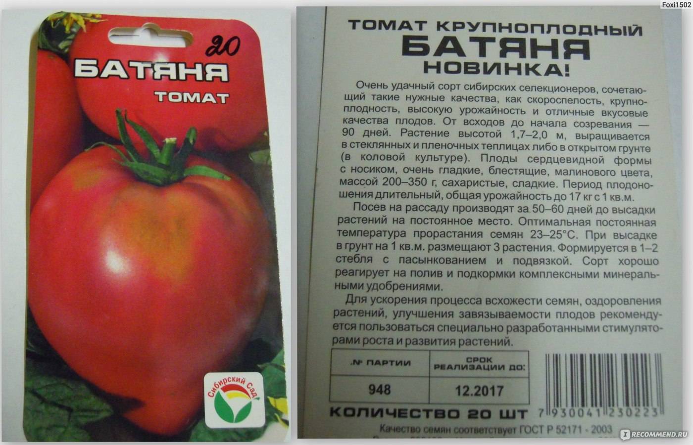Высокорослые томаты в теплице и открытом грунте — особенности выращивания