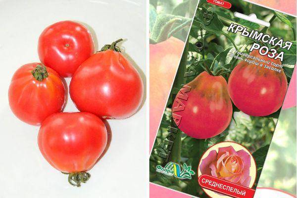 Описание томата крымская роза, разновидности сорта и выращивание рассады