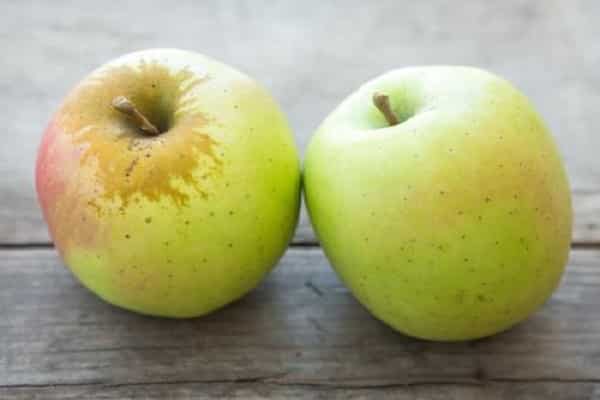 Что за сорт яблони мутсу
