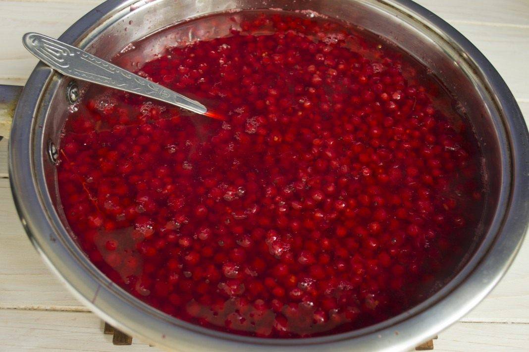 Густой джем из красной смородины 5 минутка на зиму — рецепты вкусного смородинового джема как желе