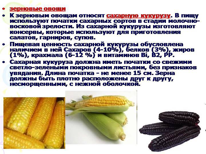 Разберемся, кукуруза это фрукт или овощ, или злак, относится она к бобовым или нет