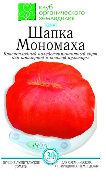 Томат шапка мономаха: характеристика и описание сорта, урожайность с фото