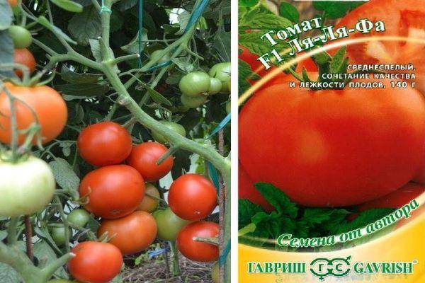 Томат о ля ля: характеристика и описание сорта, фото семян, отзывы об урожайности помидоров