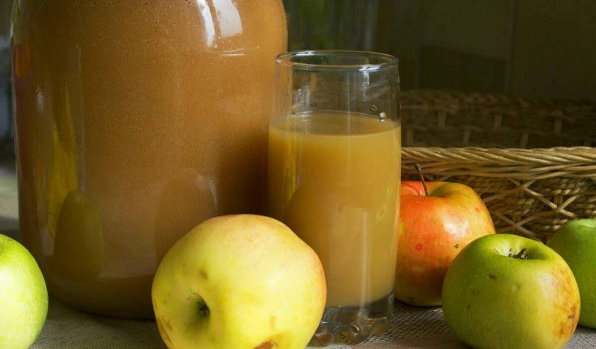 Яблочный сок на зиму: 7 простых рецептов в домашних условиях