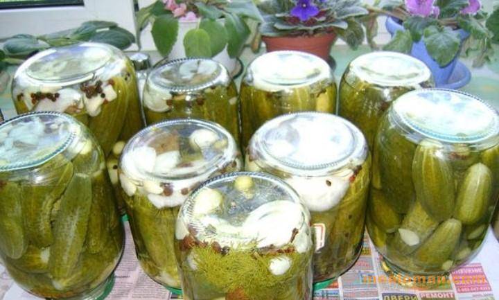 Огурцы по-болгарски в литровых на зиму: самые вкусные рецепты с фото и видео