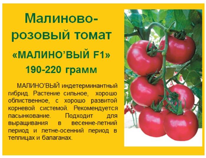 Характеристика и описание сорта томата пинк импрешн, его урожайность