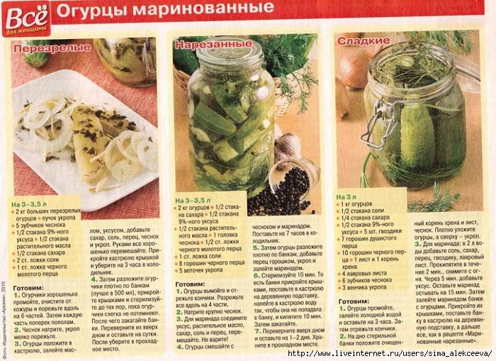 Маринованная капуста в банке: очень вкусные рецепты капусты на зиму