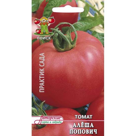 Томат алеша попович: отзывы тех кто сажал помидоры, характеристика и описание сорта, фото урожайности и