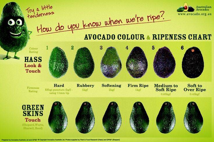 Выбор спелого авокадо: 2 эффективных способа, пошаговая инструкция с фото и видео