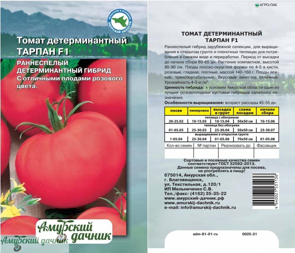Для получения большого урожая томаты нужно правильно посадить — схема посадки помидоров в открытом грунте — фазенда