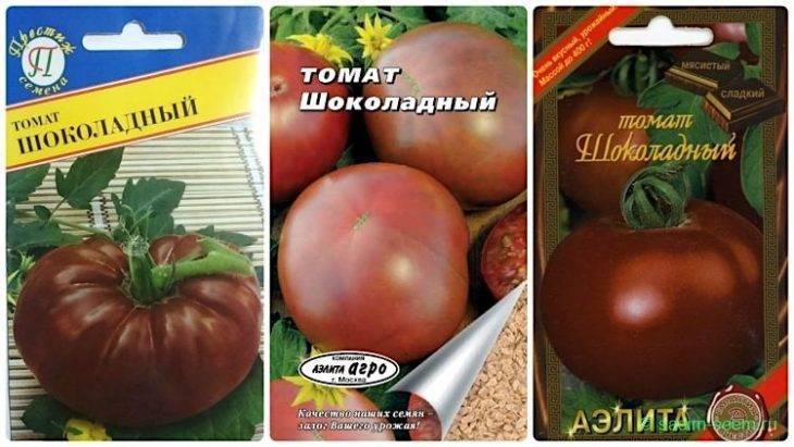 Сорт томатов шоколадный, описание, характеристика, фото и отзывы тех, кто сажал, а также особенности выращивания