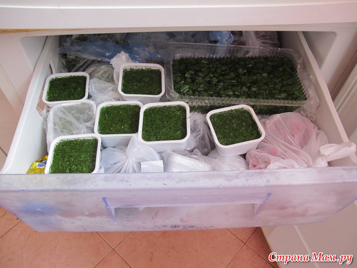 Заморозка зелени в домашних условиях