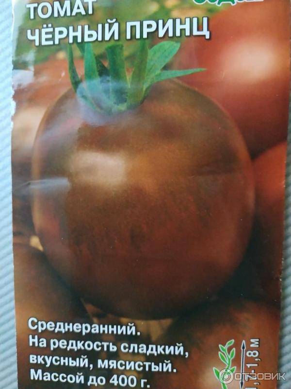 Описание сорта томатов черный принц с фото: характеристики помидор и рекомендации по выращиванию из семян