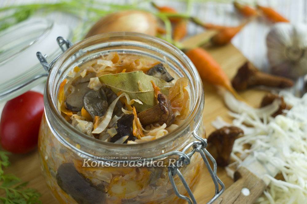 Солянка из капусты с грибами на зиму: рецепты приготовления