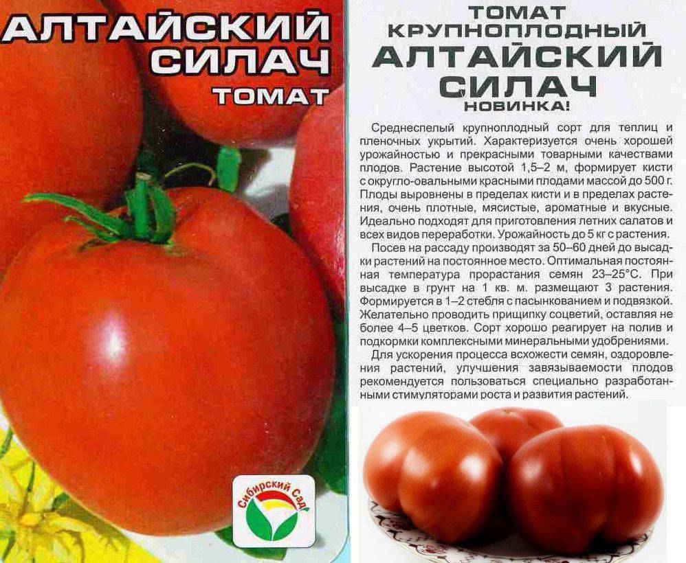 Сорта черных томатов: описание, фото, характеристика