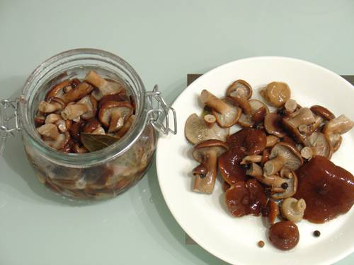 Соление и маринование грибов