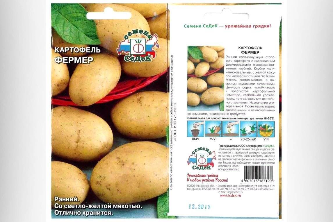 Картофель санте: описание и характеристика сорта, посадка и уход, отзывы с фото