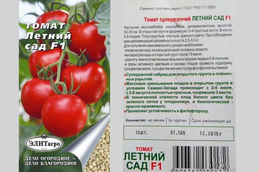 Описание сорта томата таймыр, его характеристика и особенности выращивание
