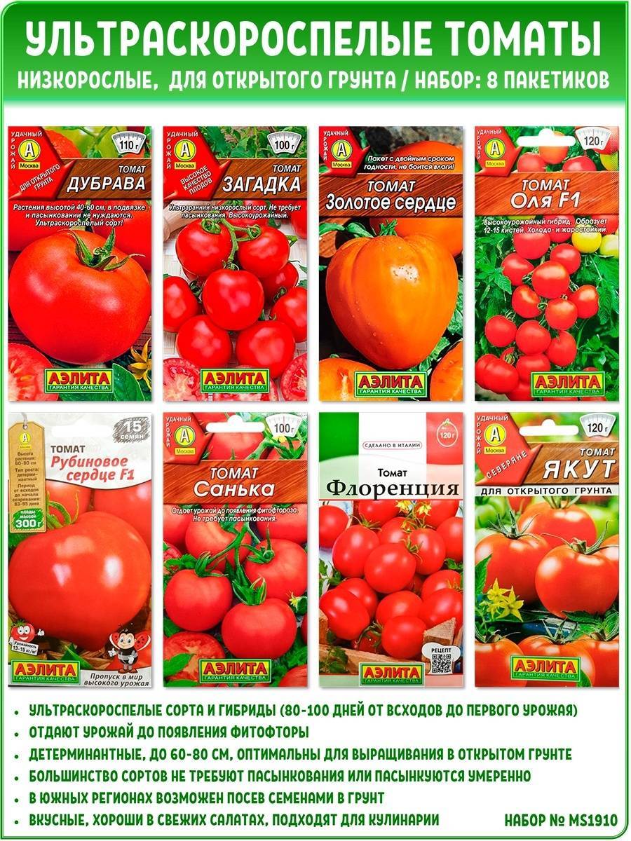 Описание лучших ультраскороспелых сортов томатов для открытого грунта и теплицы