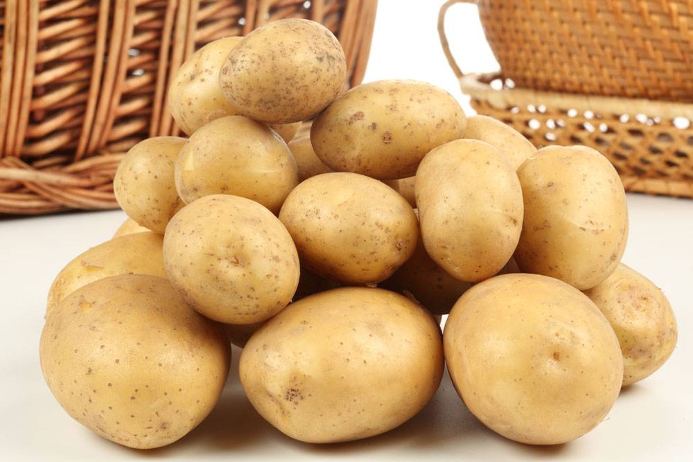 Описание картофеля бриз, характеристика сорта, отзывы