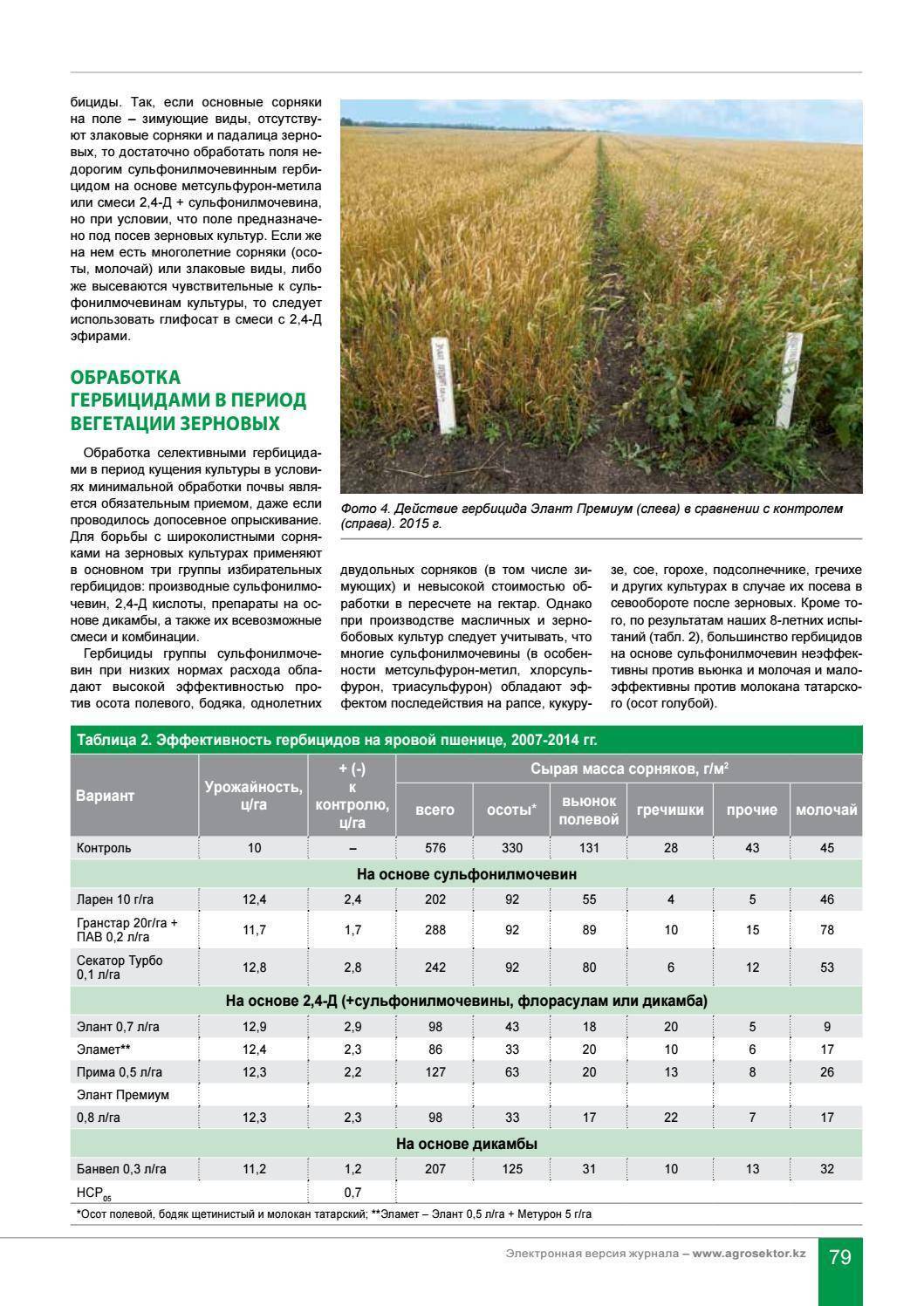 Гербицид по кукурузе: обработка после всходов, выбор почвенного препарата