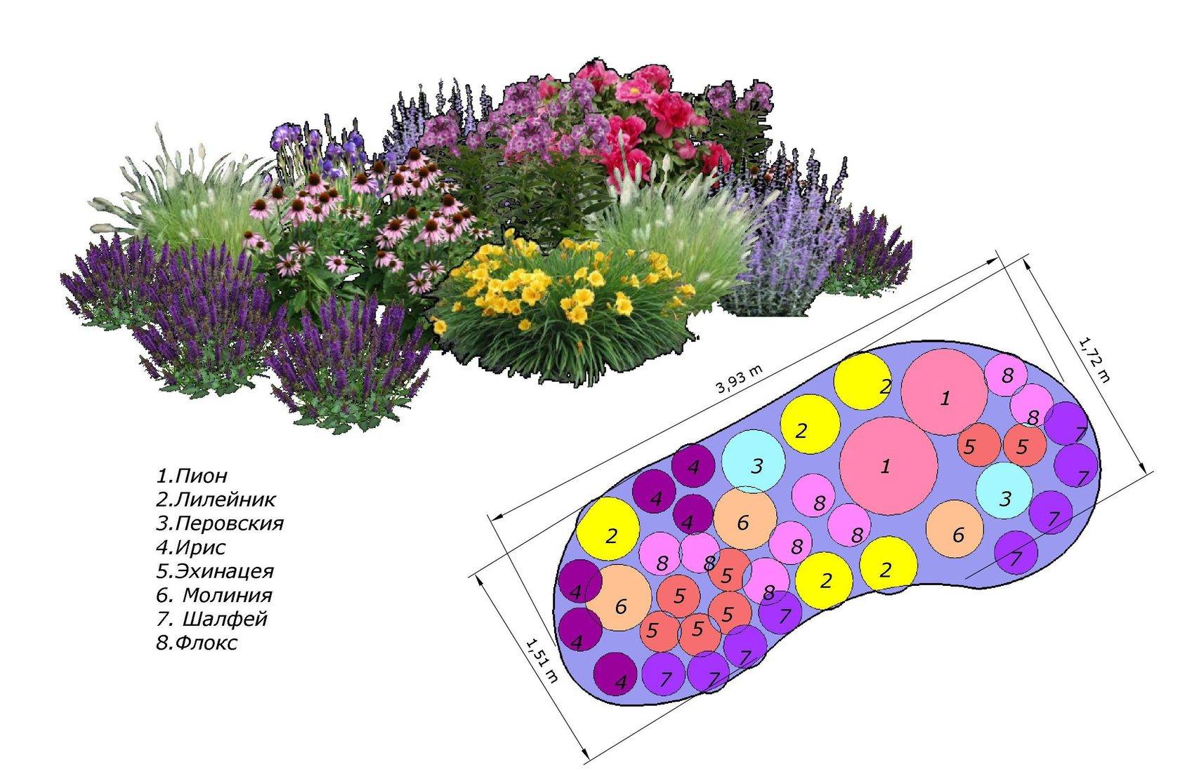 Тюльпаны в саду: ландшафтный дизайн, как красиво посадить на участке - 14 фото