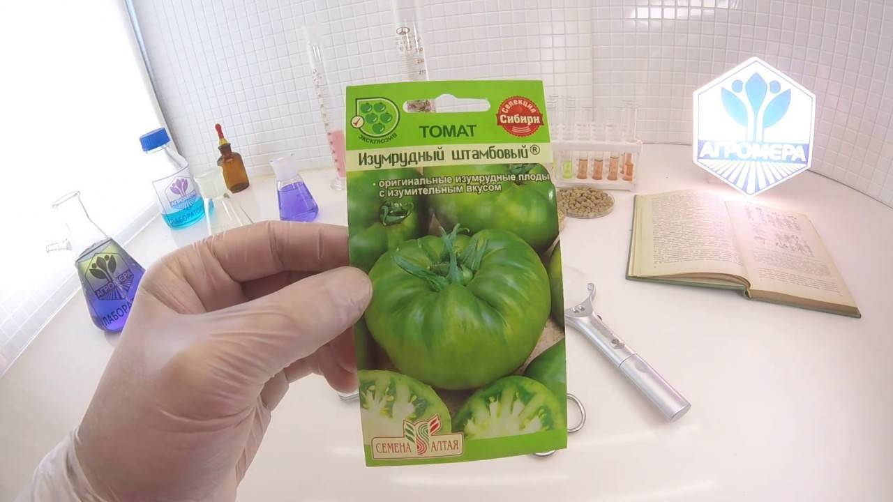 Семена томат f1 московский деликатес изумрудный: описание сорта, фото