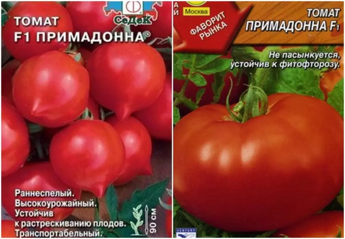 ᐉ томат "примадонна" f1: описание сорта и характеристика, выращивание и получение хорошей урожайности с куста, фото плодов-помидоров - orensad198.ru