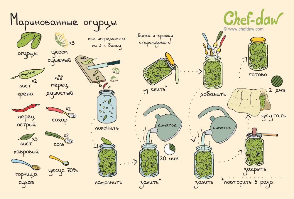 5 рецептов приготовления быстрых маринованных огурцов