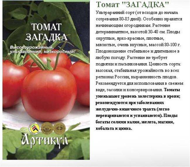 Описание сорта томата колобок, его характеристика и урожайность – дачные дела