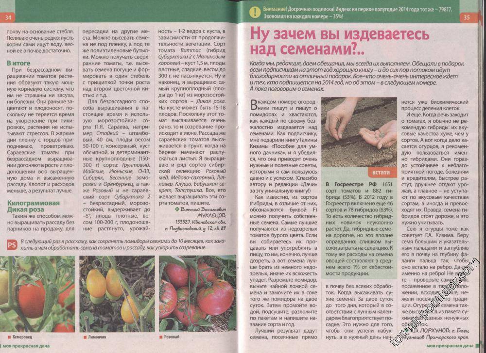 Выращиваем томаты без рассады — сорта, преимущества и недостатки метода. агротехника — ботаничка