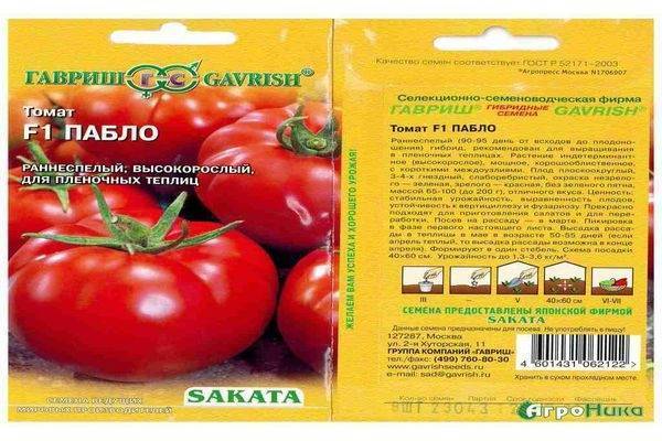 Описание гибридного томата Пабло, правила выращивания сорта рассадным и безрассадным способом