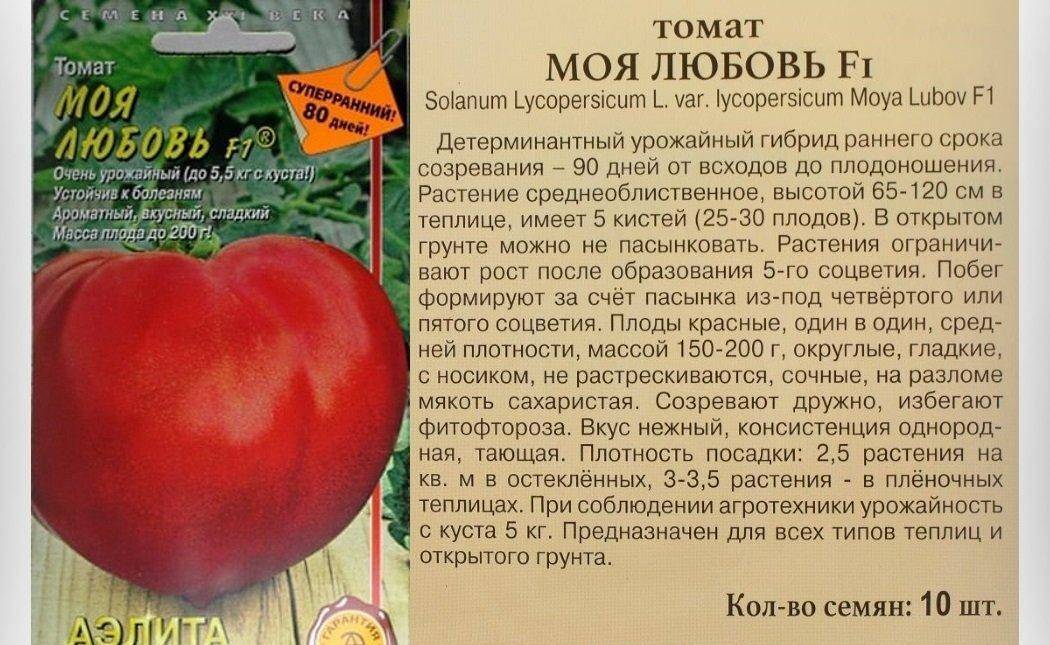 Описание сорта томата бизнес-леди, его характеристика и уход