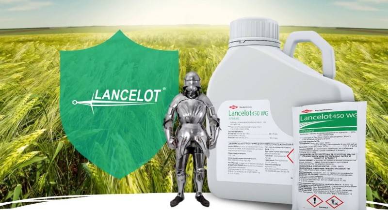 Ланцелот 450, вдг (гербициды, пестициды) — agroxxi